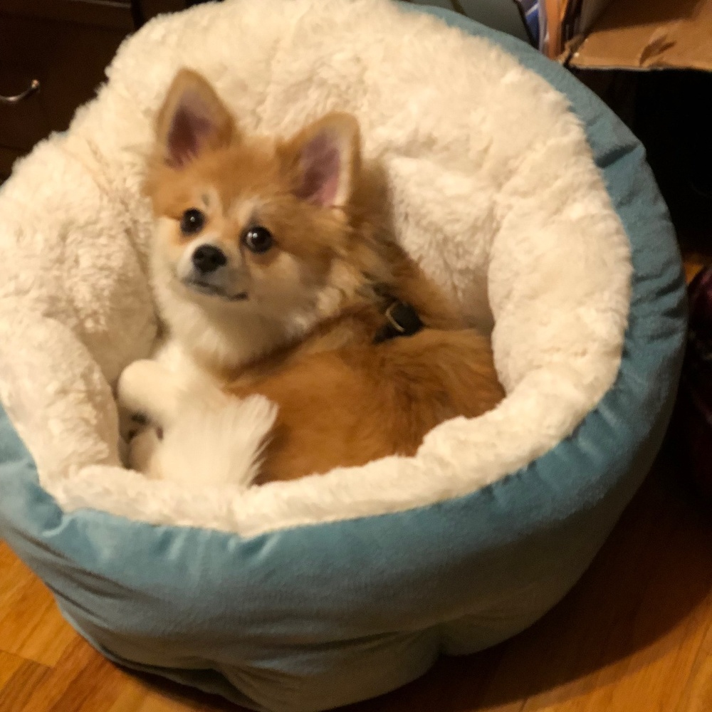 Warning: I will be on Vacation